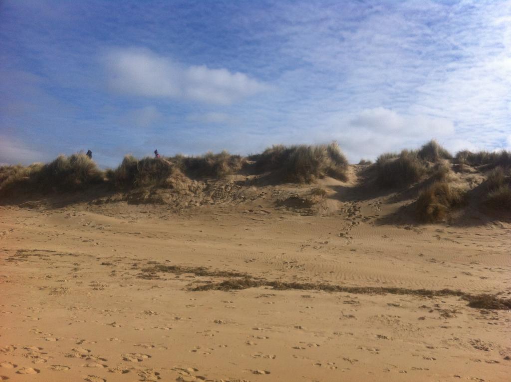Plover 11 Wells-next-the-Sea 外观 照片